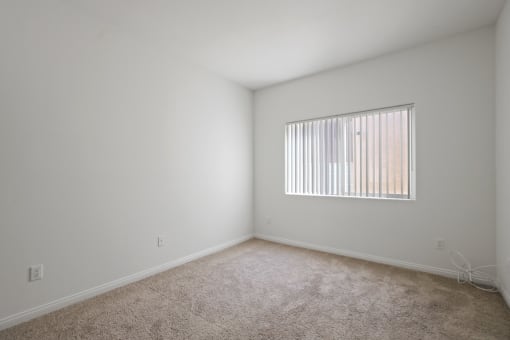 Bedroom with Windows
