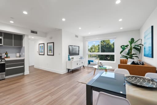 Modern Apartment