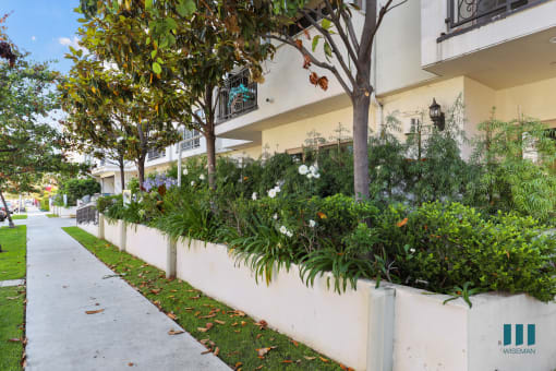 a white wall with plants in front of a building