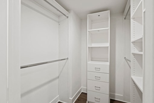 Walk-In a closet with Built-In Organizers and Shelving