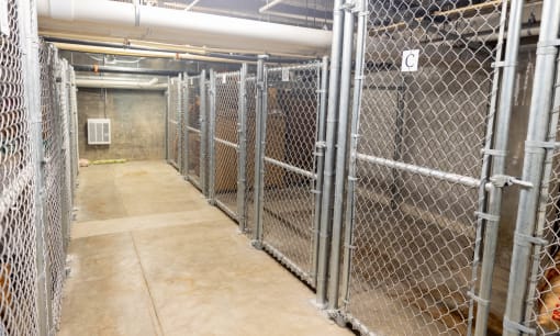 the inside of a fenced in area of a prison with cages