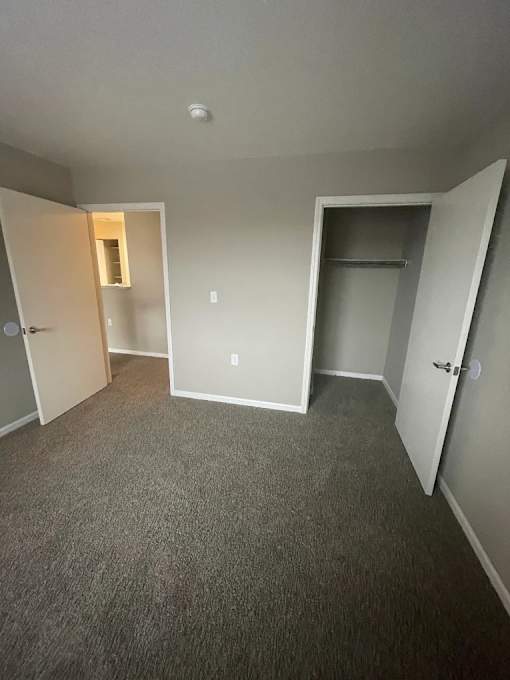 A room with carpeted floor and two open doors.