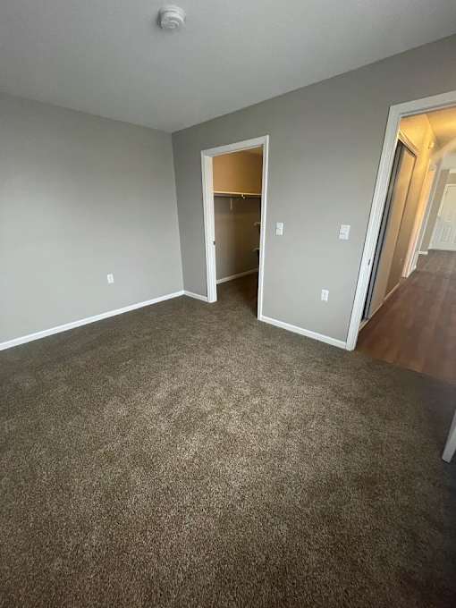 A room with a carpeted floor and a doorway leading to another room.
