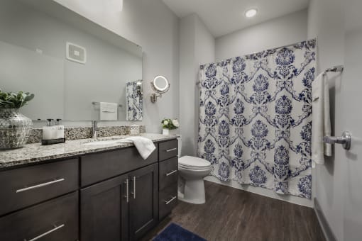 Master bathroom with floating vanities, quartz countertops, backlit vanity mirror, walk-in shower with Euro shower door and quartz-topped bench seat at The Ivy at Berlin Place, South Bend, Indiana