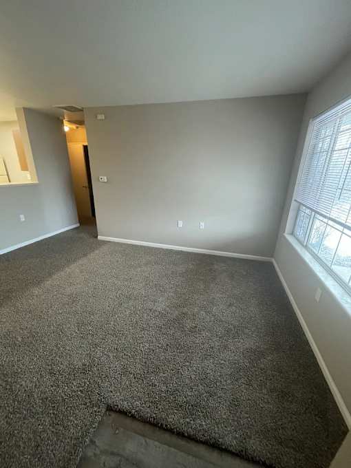 A room with a carpeted floor and a window with blinds.