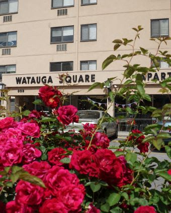 Watauga Square Johnson City TN