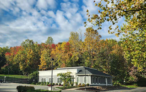 A house with a grey roof and white walls is surrounded by trees with autumn leaves.