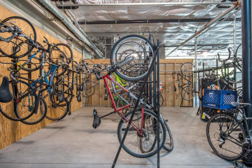 a group of bikes hanging on a rack in a bike shop