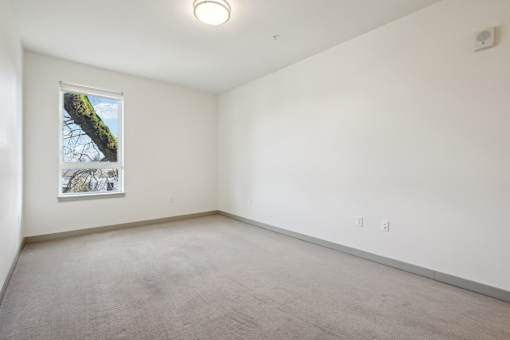 A white wall with a picture of a tree on it.