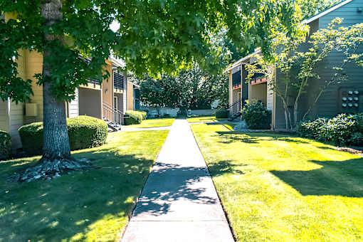 A tree-lined walkway leads to a building.