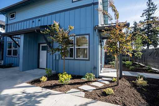 A blue house with a white door and windows, surrounded by a garden with a tree and plants.