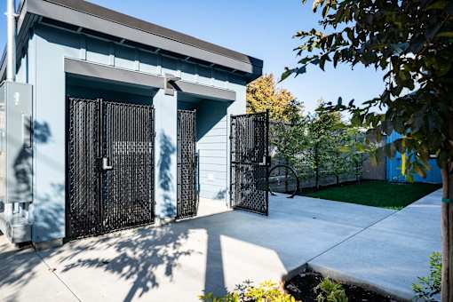 A blue building with a black gate and a tree in front.