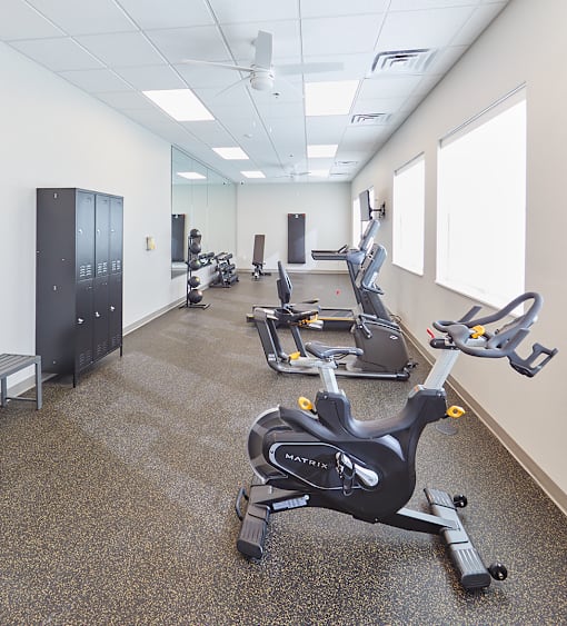 A gym with a row of stationary bikes and a bench.
