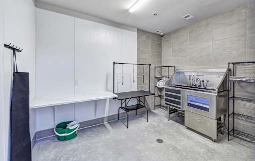 Pet Washing Station