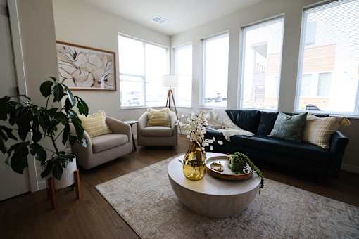 A living room with a large couch, a coffee table, and a potted plant.