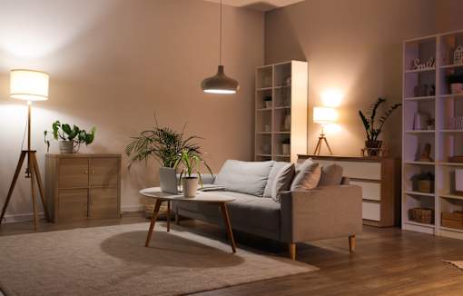 A living room with couch, a potted plant, and a wooden floor.