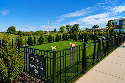 Two dogs are running in a fenced area at Daniel's Dog Run.