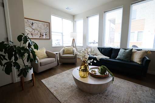 A living room with a large couch, a coffee table, and a potted plant.