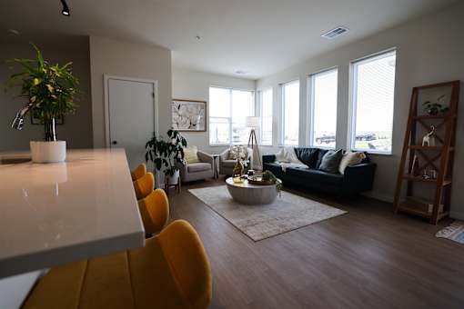 A living room with a couch, chairs, and a potted plant.