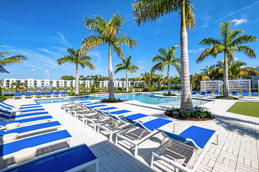 A pool area with sun loungers and palm trees.
