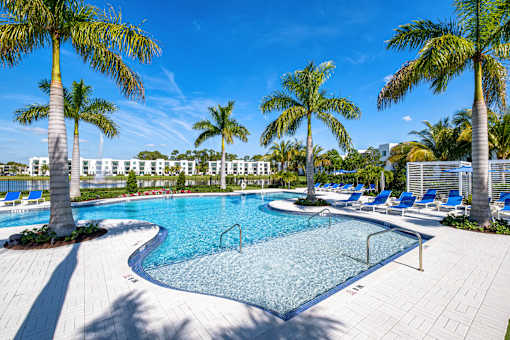 A swimming pool surrounded by palm trees and lounge chairs.