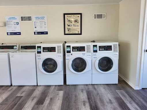 A row of white front load washing machines are lined up in a laundry room.