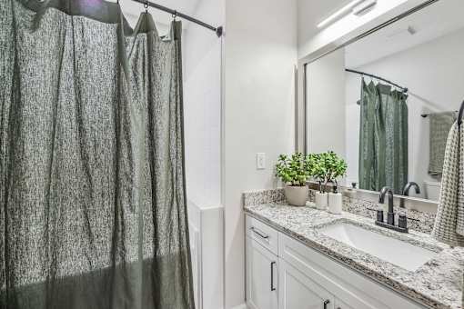 A bathroom with a sink, mirror, and a plant.