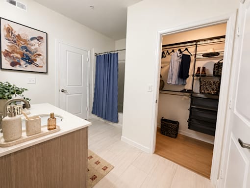 A bathroom with a sink and a closet.