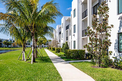 A white building with a palm tree in front.