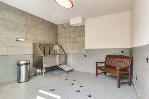 1824defoor-pet-spa
