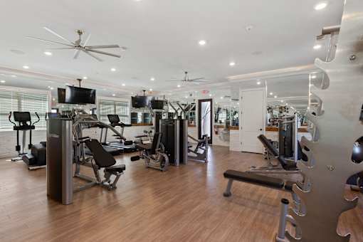 a gym with weights and cardio machines and a tv