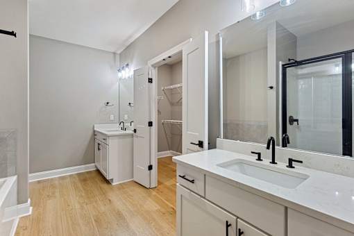 a bathroom with a sink and a mirror and a shower