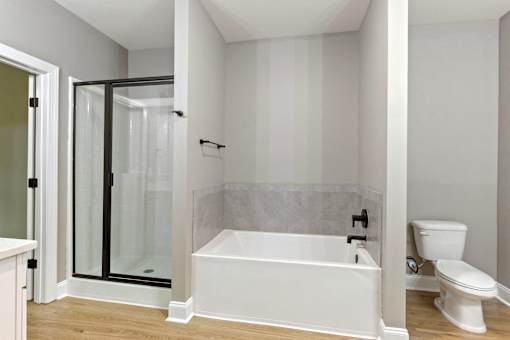 a bathroom with a tub and a shower and a toilet