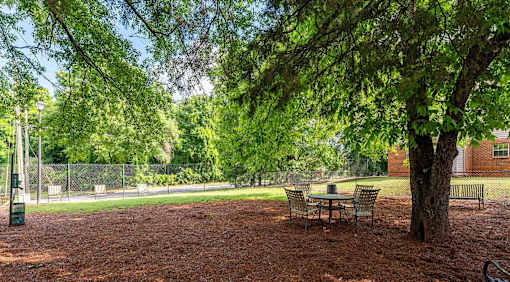 A park with a table and chairs under a tree.