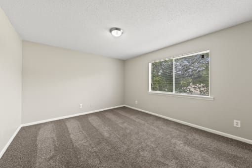 an empty room with carpet and a window