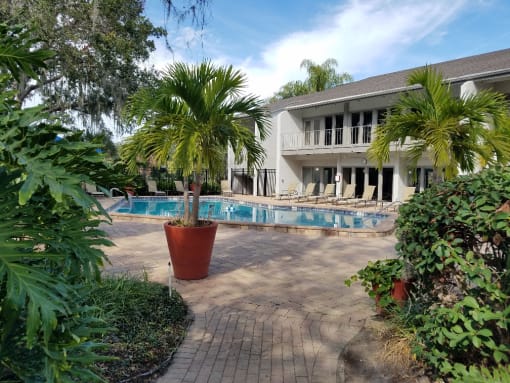 a swimming pool with palm trees in front of a house at L'Estancia, Sarasota, FL