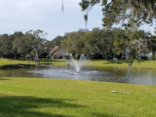 Pond at L'Estancia, Florida