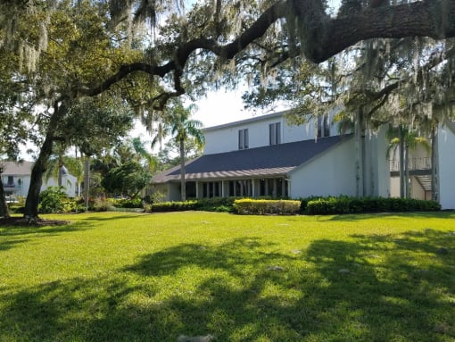 Lush Landscaping at L'Estancia, Sarasota
