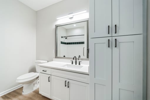 a bathroom with a sink and a toilet and a mirror
