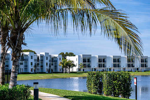 A palm tree is in front of a white building.