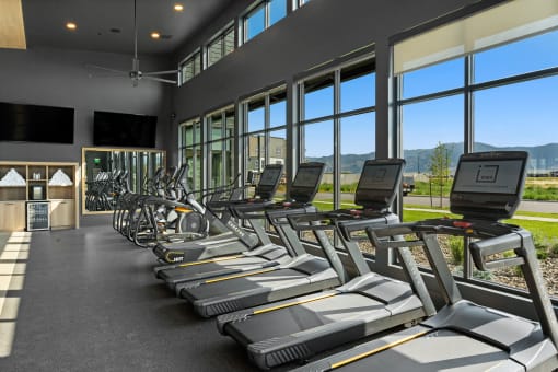 a row of cardio machines in a fitness center with large windows