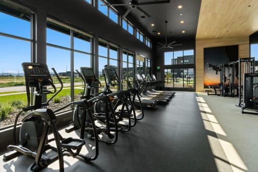 a row of exercise bikes in a fitness room with windows