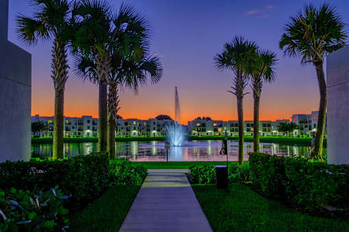 A beautiful fountain surrounded by palm trees and buildings in the background.