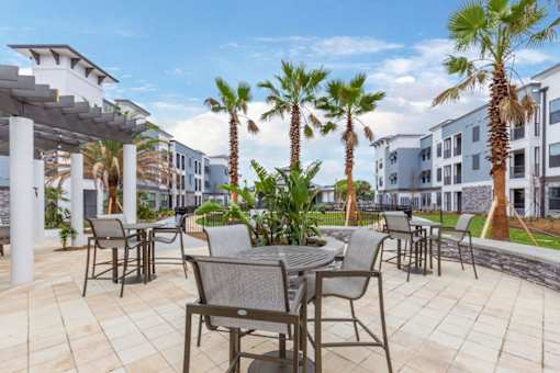 A patio with chairs and tables surrounded by palm trees.