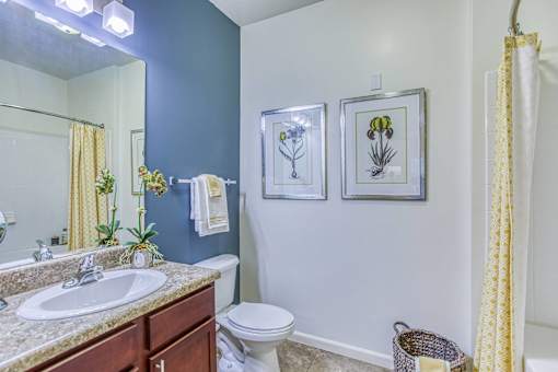 links at pebble creek bathroom