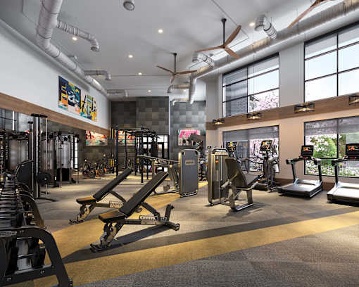 a gym with weights and cardio equipment and windows