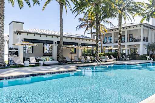 A pool surrounded by palm trees and lounge chairs.