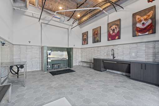 A room with a grey floor and white walls, with a sink and a mirror.