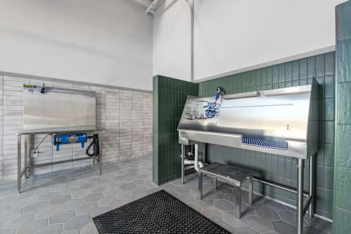 Dog-Friendly Luxury Apartments in Huntsville, AL - The Arcadia - Pet Spa with Washing Station, Step Stool, and Grooming Table.