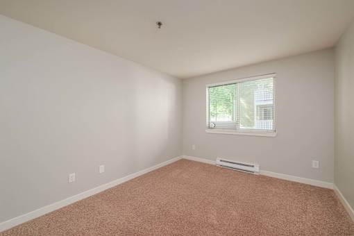 A room with a window and a carpeted floor.